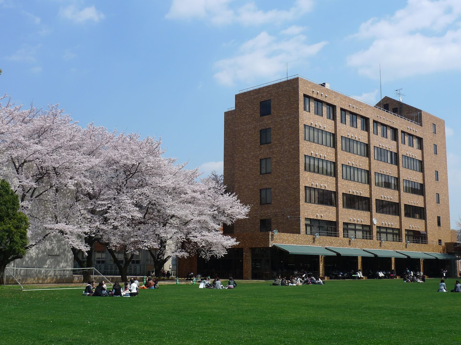 十文字学園女子大学の緑豊かなキャンパス風景。